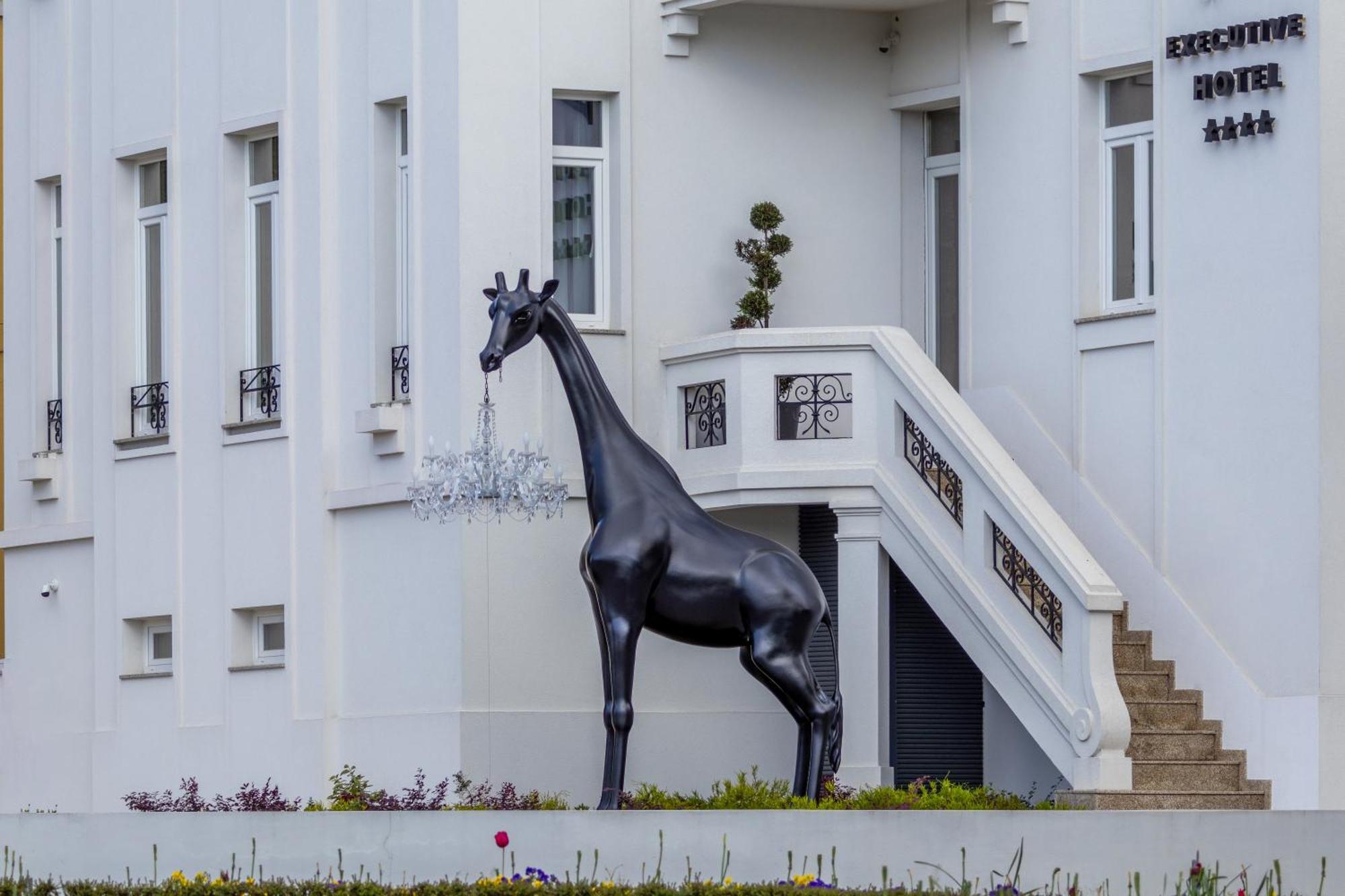 Viseu Executive Hotel Zewnętrze zdjęcie