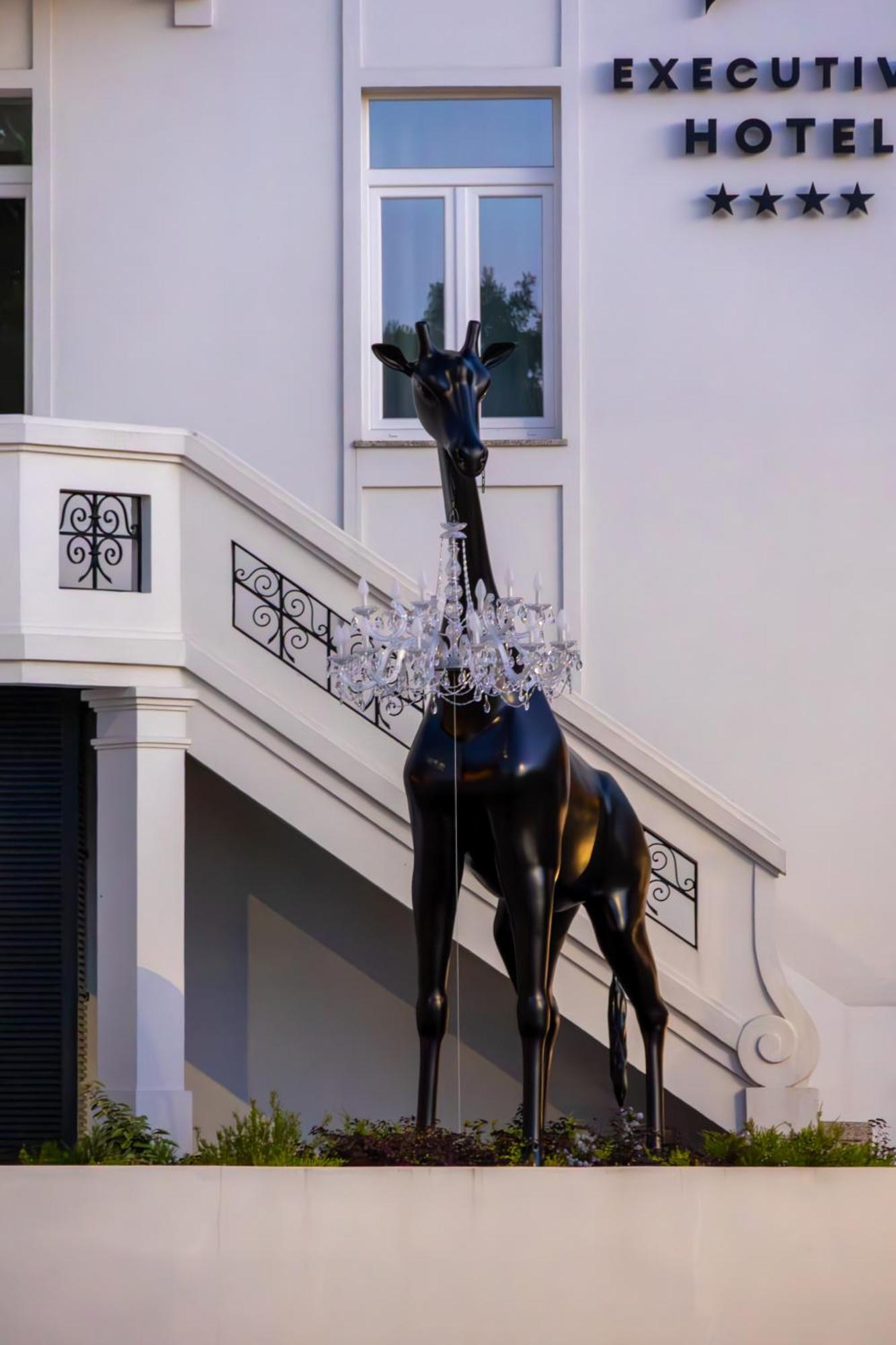 Viseu Executive Hotel Zewnętrze zdjęcie